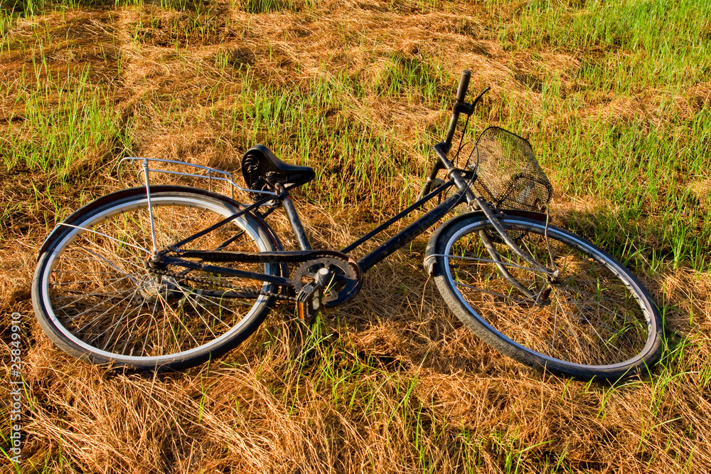Black Bike Lying on Green Grass