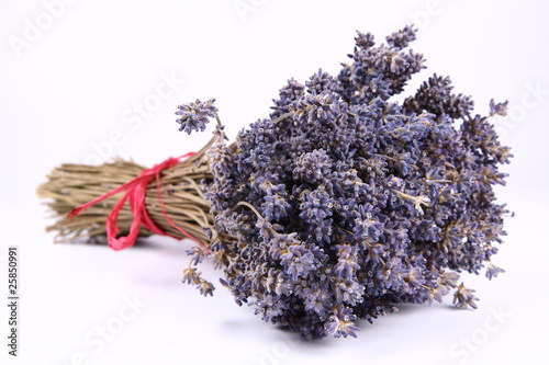 Bunch of dried lavender tied with a red string on white