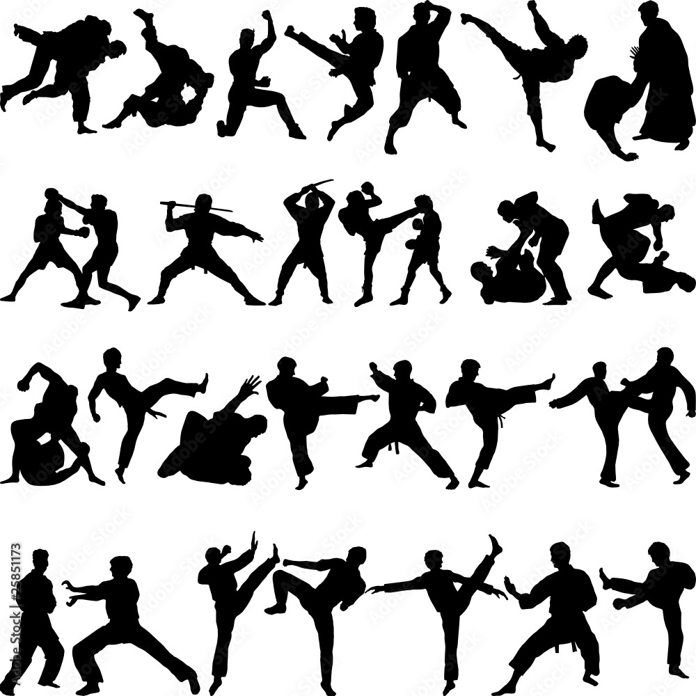Various positions of martial arts