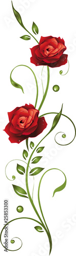 Blumen, Blüten, Rose, rote Rosen, filigran, floral #25853300