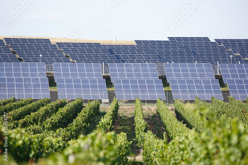 Tableau sur toile Solarkollektoren mit Weinreben im Vordergrund