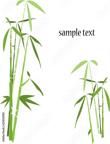 bamboo tree background © Dead Tree World