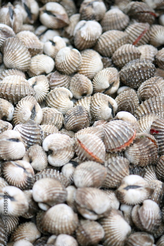 shell in the market