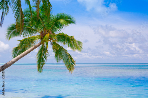 Fototapeta Naklejka Na Ścianę i Meble -  Holiday Paradise