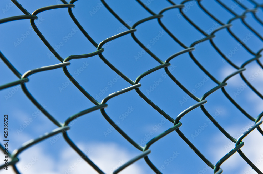 Fototapeta premium Maschendraht