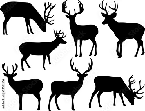 deers silhouette collection vector