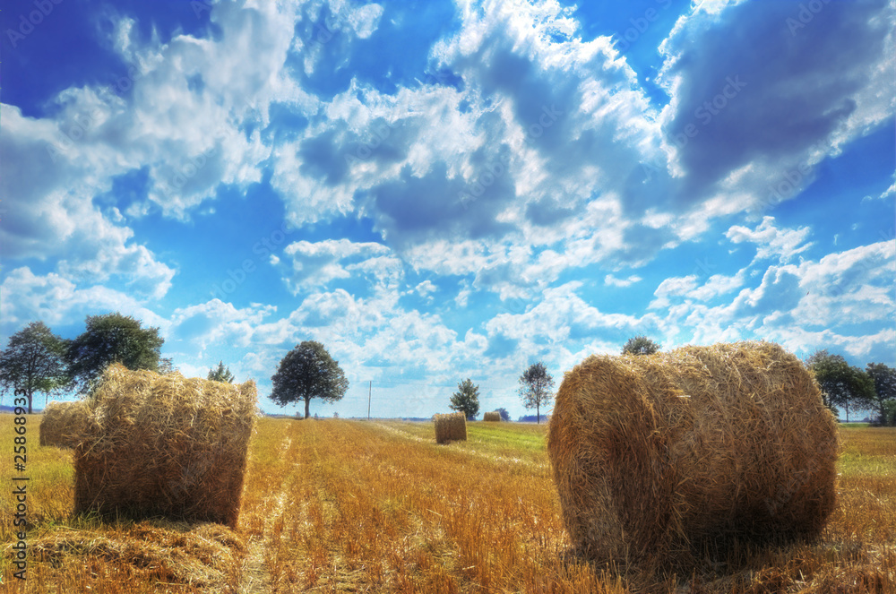 Field and sky.