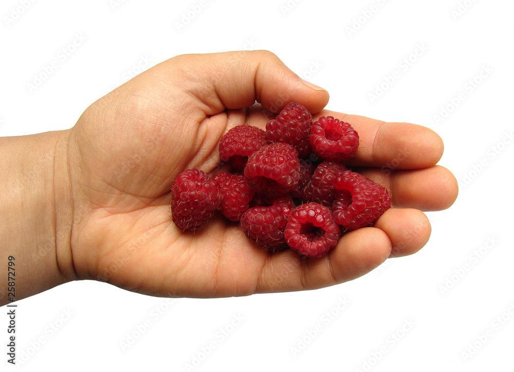 handful of raspberries handful of raspberries