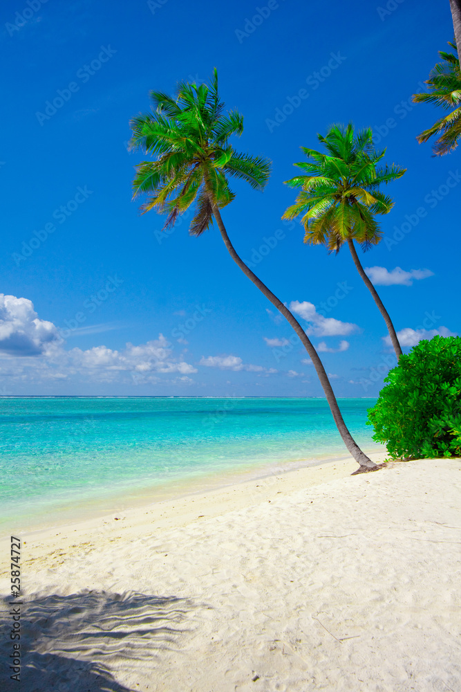 Obraz premium Holiday Paradise