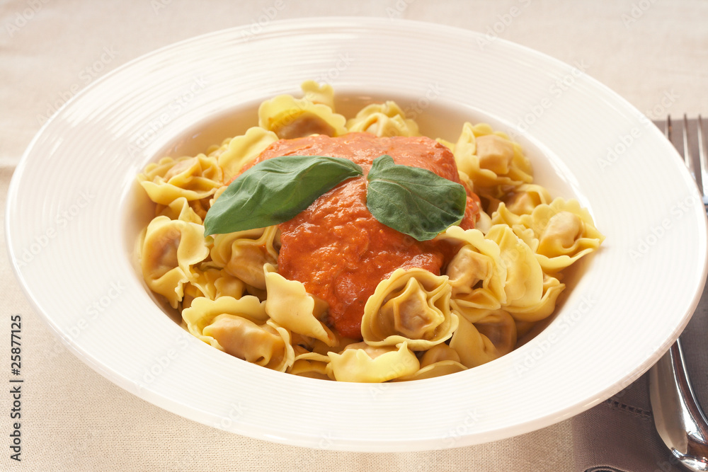 Plate of bolognese tortelloni