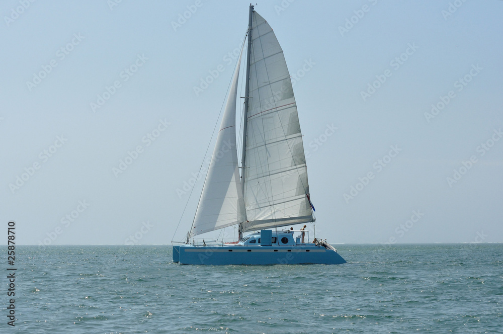 catamaran bleu 1