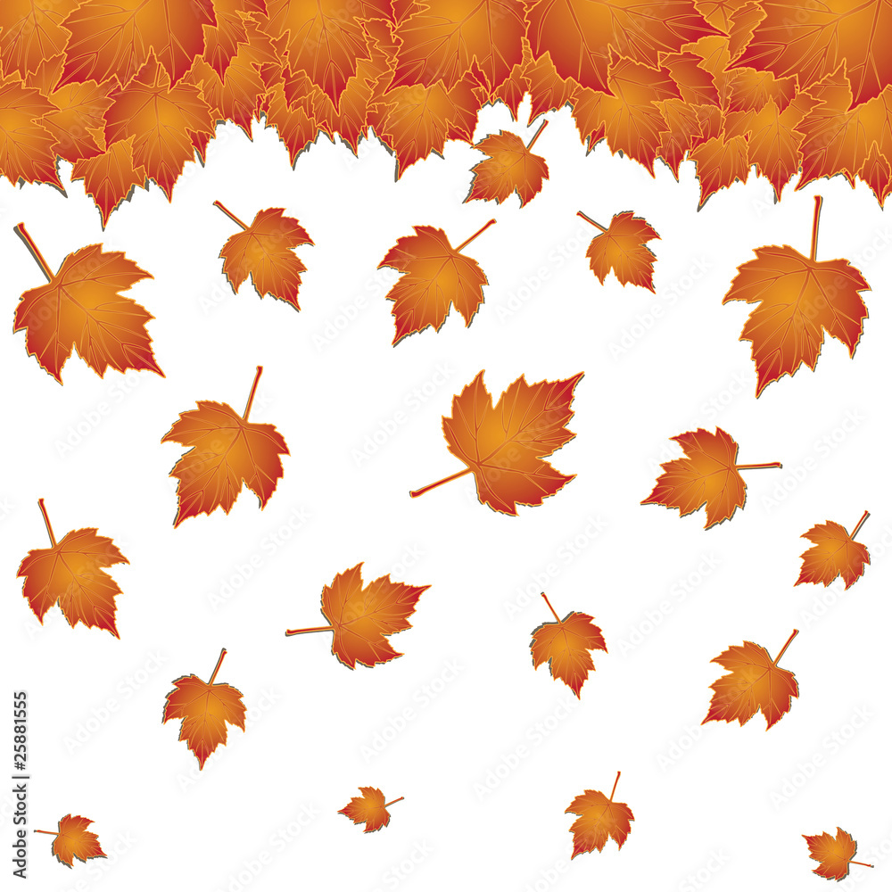Autumn background