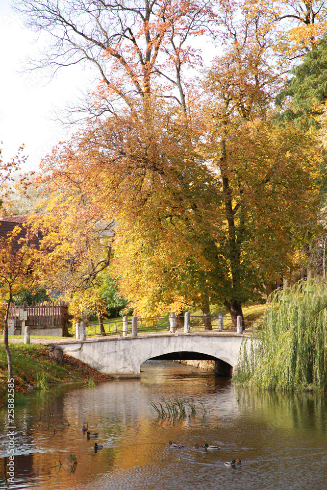 Obraz premium bridge1