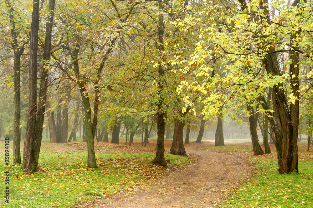 Autumn park