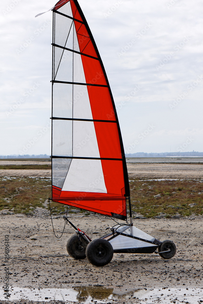 Fototapeta premium Char à voile