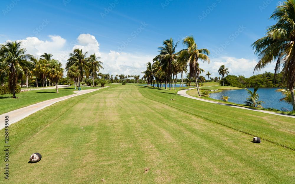 Fototapeta premium Golf Course Tee Box and Fairway in Miami
