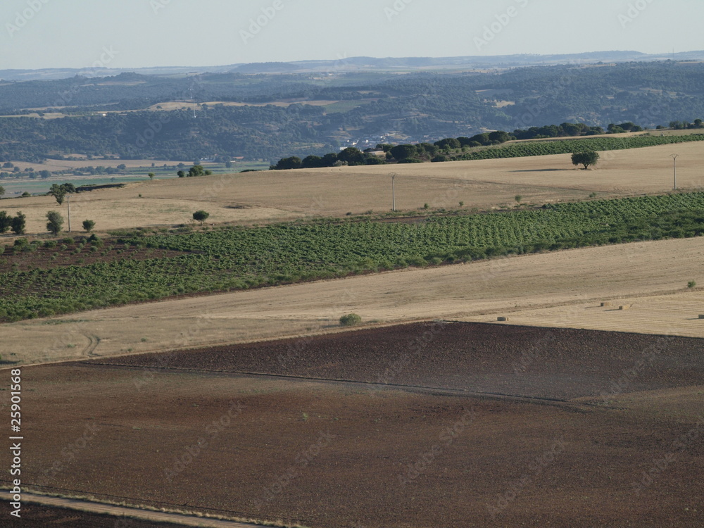 Fototapeta premium Vista aerea de campo de Toro (Zamora)