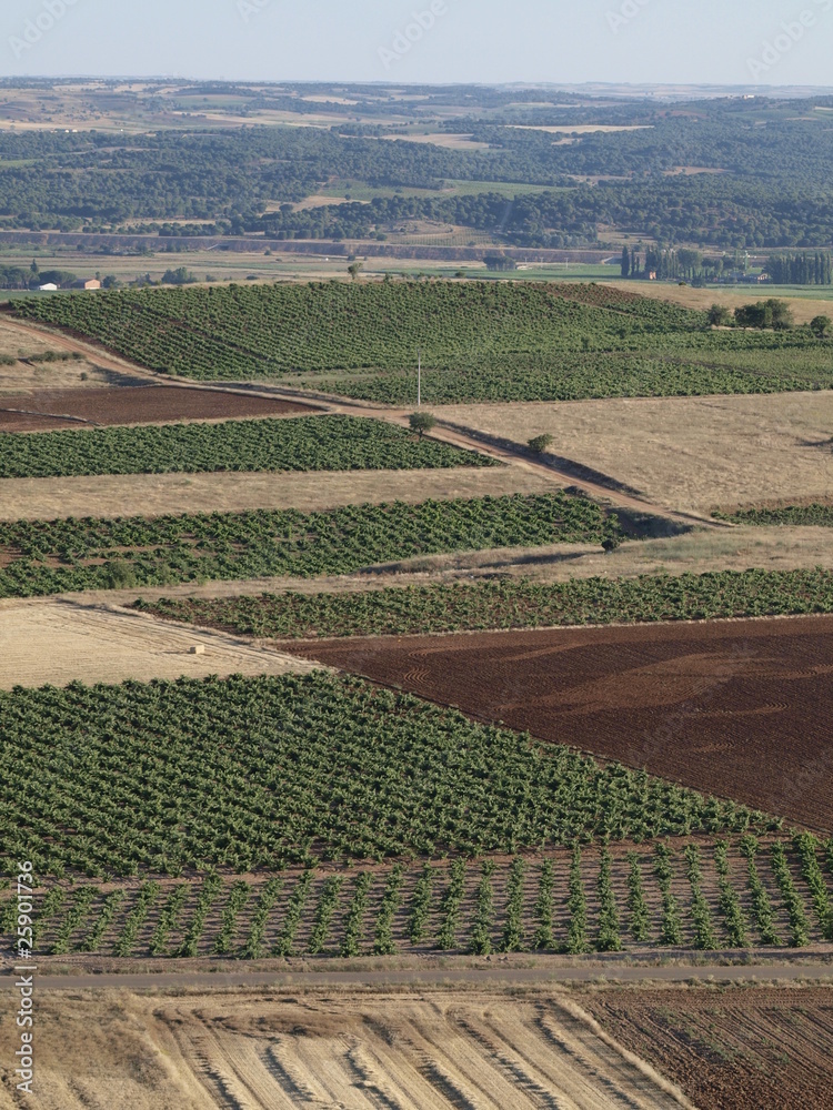 Vista aerea de Toro (Zamora) y su campo