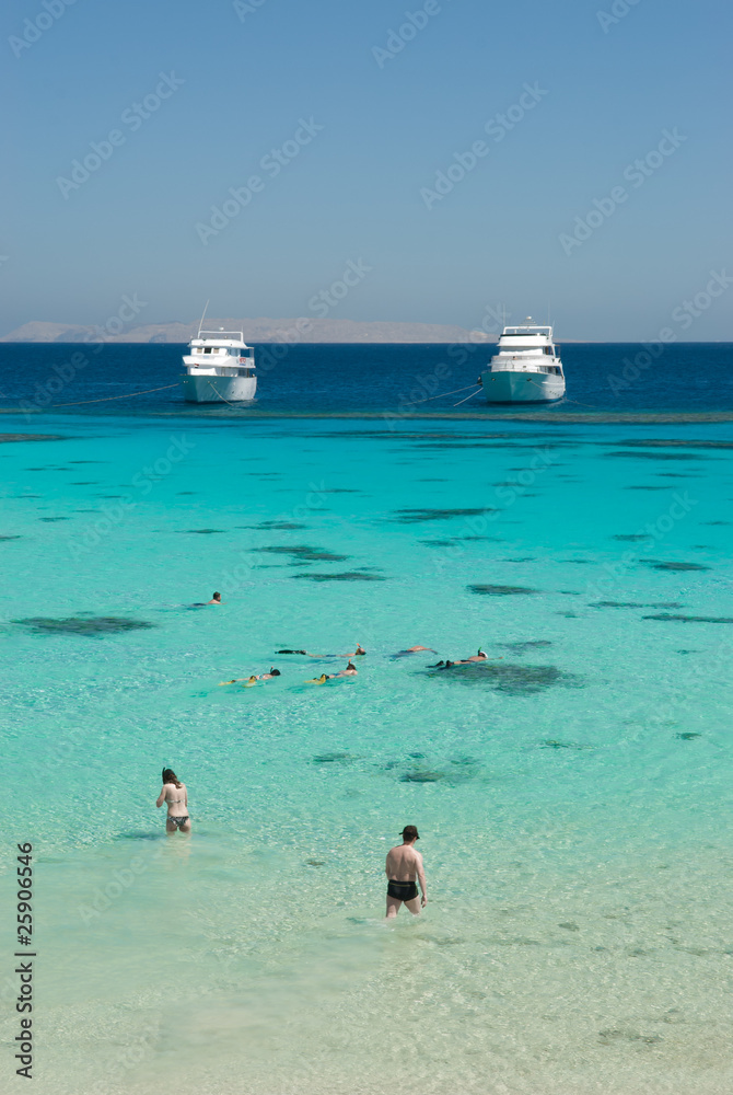 Snorkellers in tropical sea