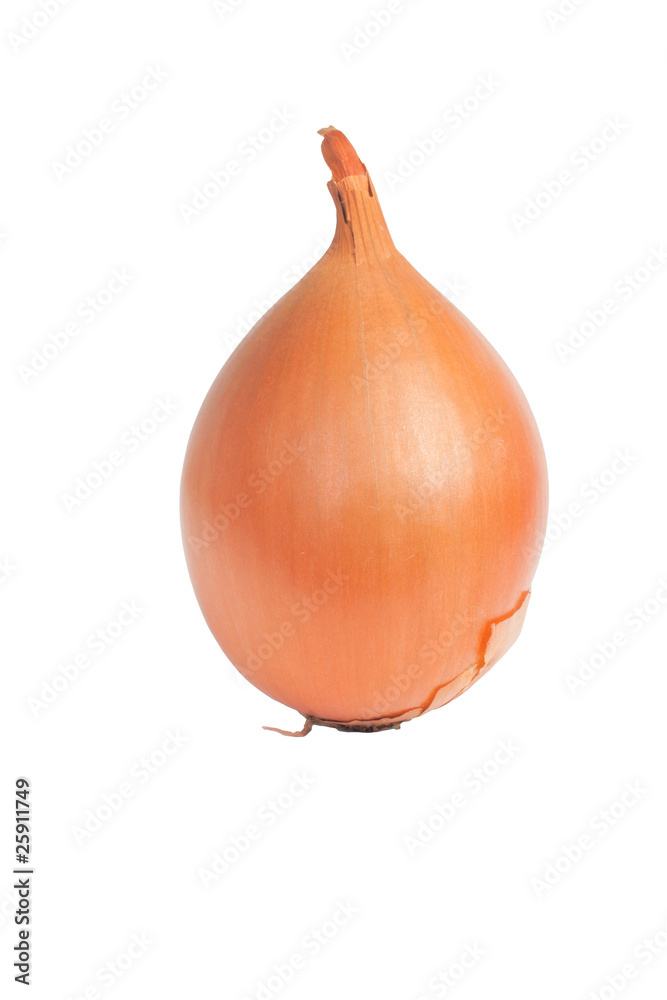 Golden onion
