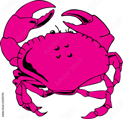 Crab vector