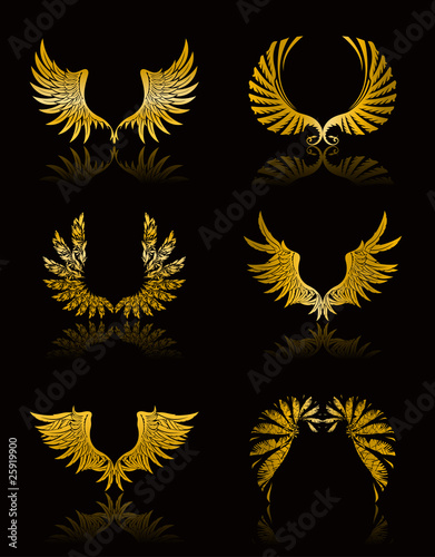 Set of Wings