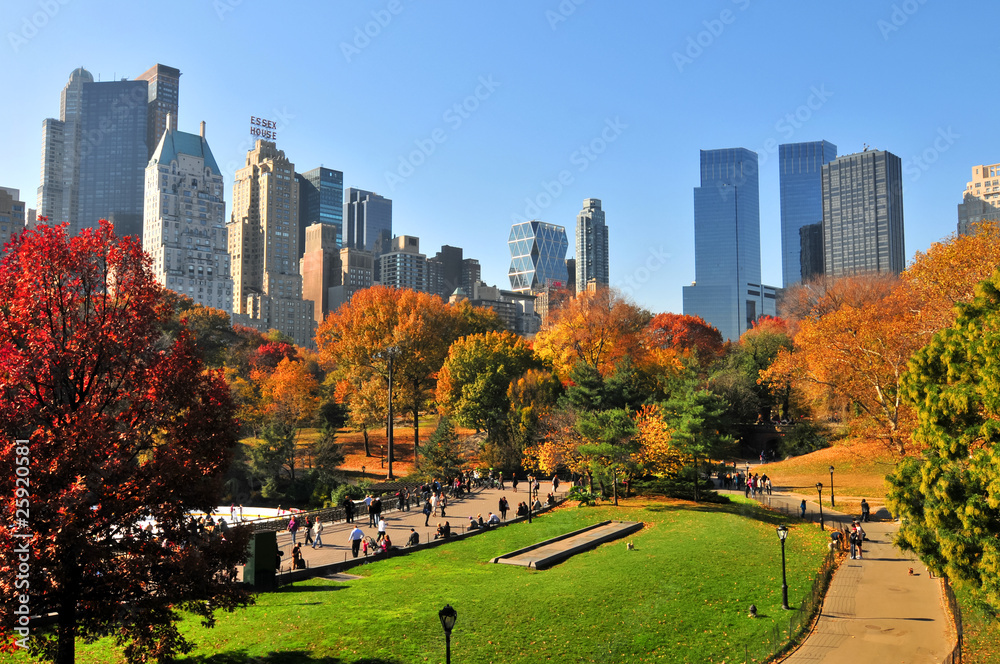 Naklejka premium Jesień w Central Parku i Nowym Jorku.