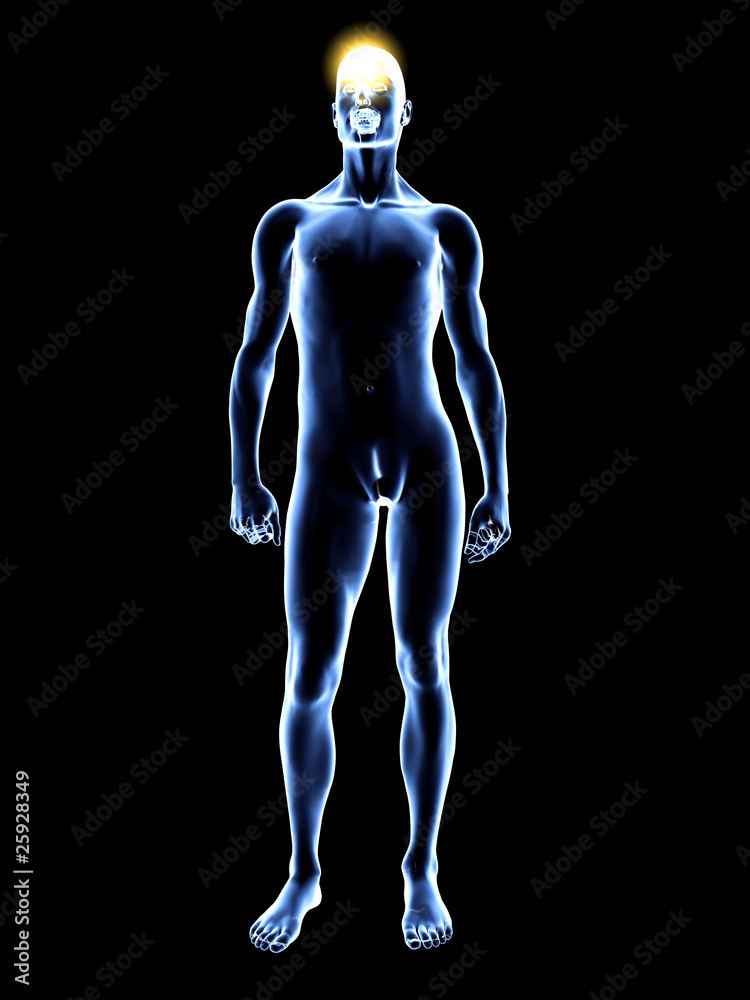 Erleuchtetes Ajna Chakra Erleuchtetes Ajna Chakra