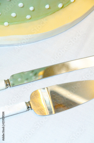 Cake knife and serving utensil