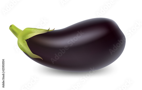 Eggplant vector illustration