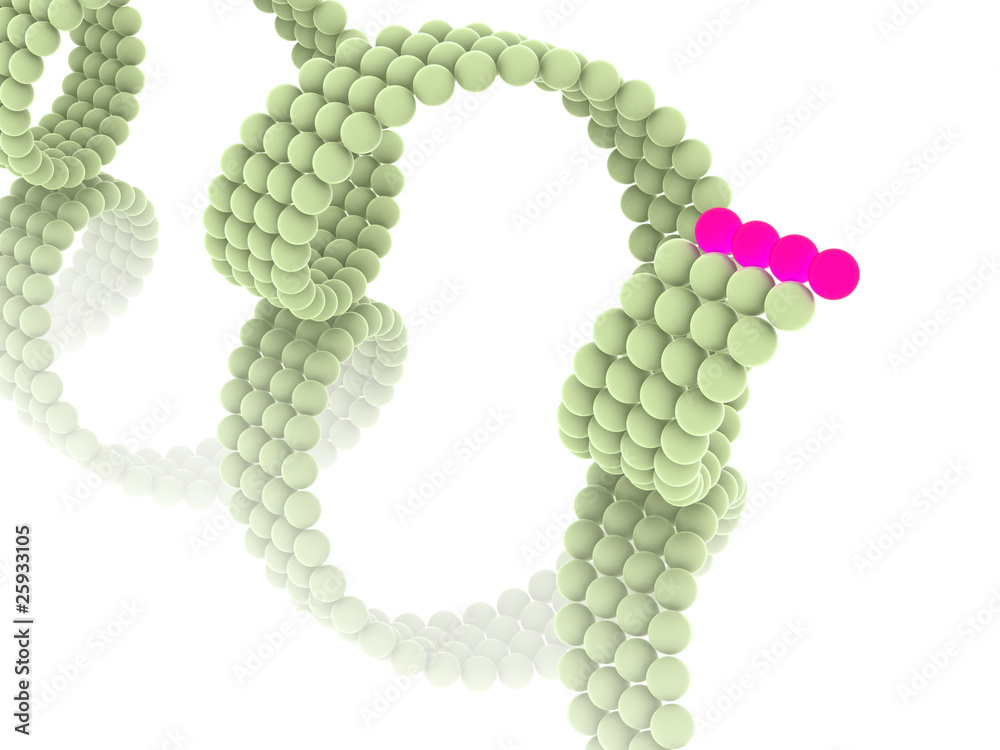 Gene in DNA Gene in DNA