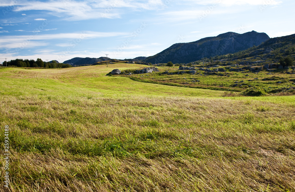 Fototapeta premium ground mountain