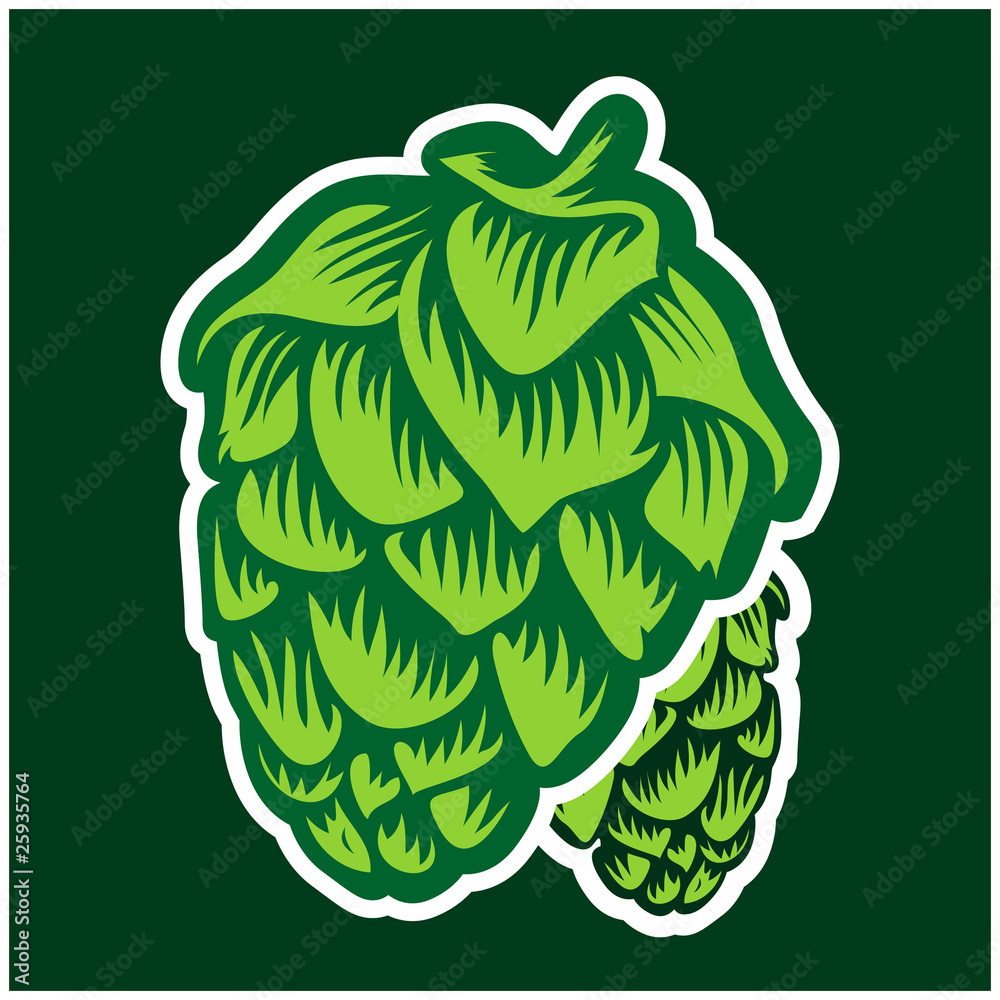 Fototapeta premium green hop