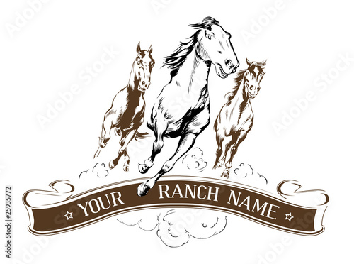 horse label