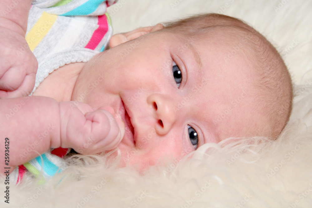 portrait of cute baby girl (1,5 months) portrait of cute baby girl (1,5 months)
