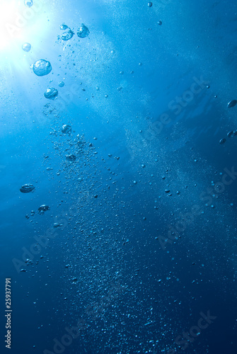 Underwater view of air bubbles heading towards the surface. © caan2gobelow
