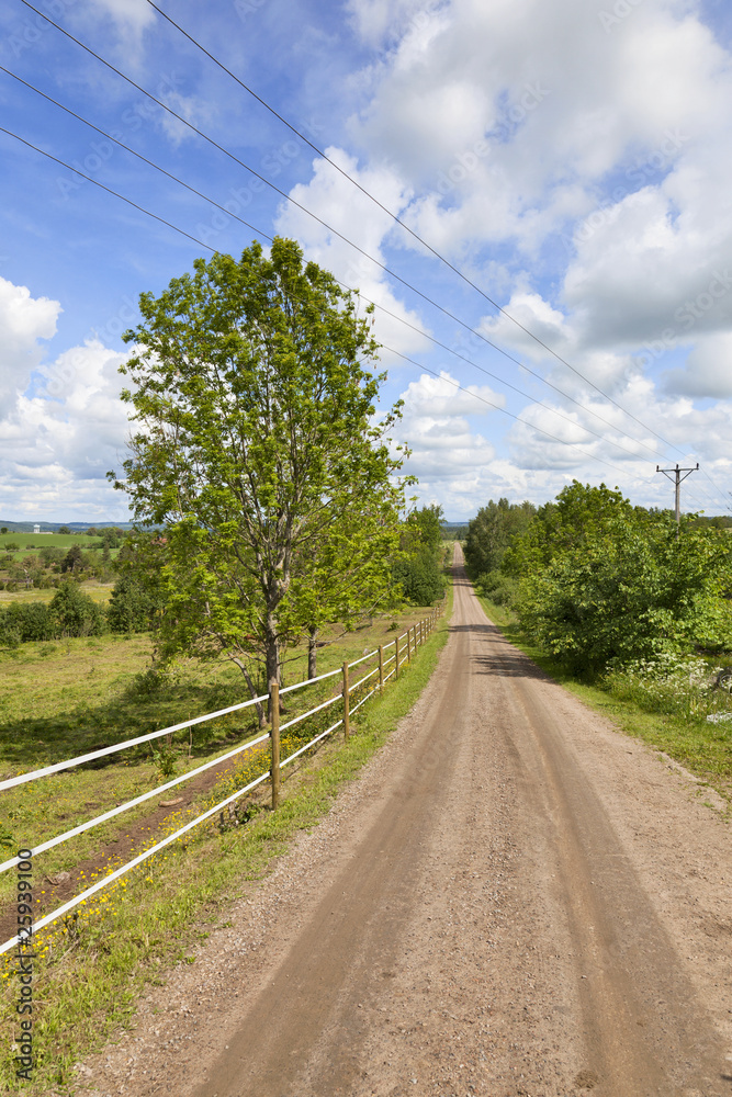 Countryside gravel road