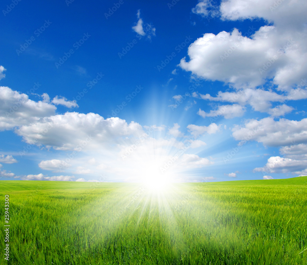 Green field Green field