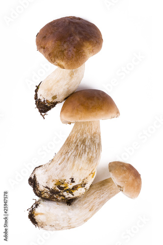 Three fresh mushroom