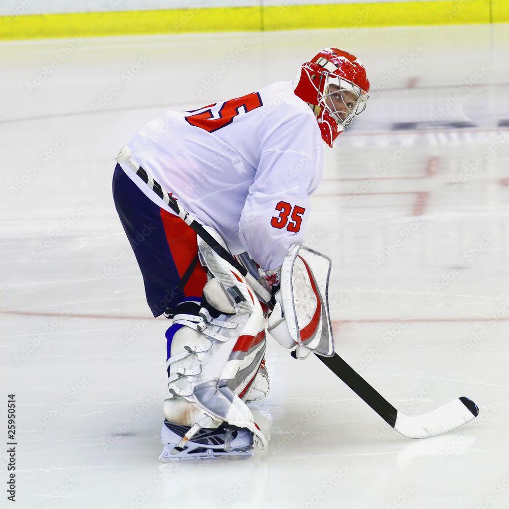 Naklejka premium hockey goalie