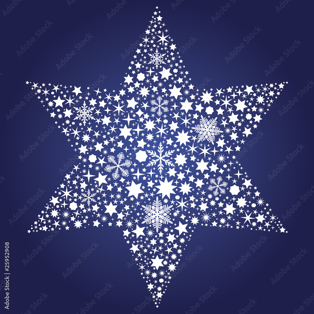 Weihnachtsstern Weihnachtsstern