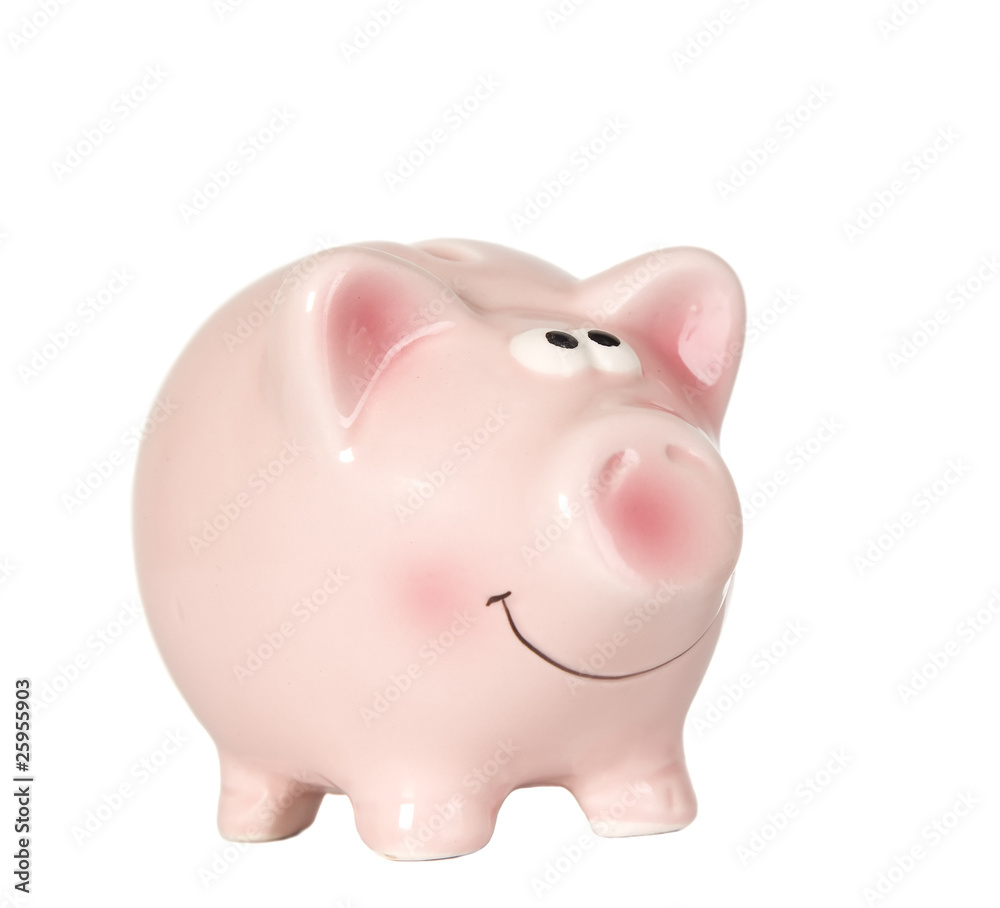 Pig is smiling and standing without money