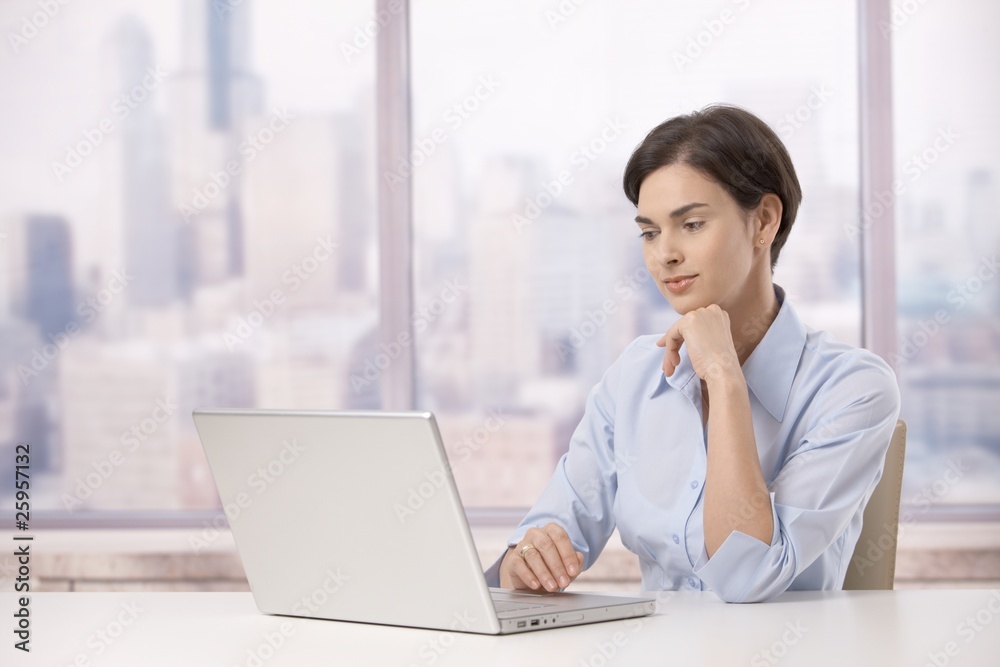 Professional woman with laptop computer Professional woman with laptop computer