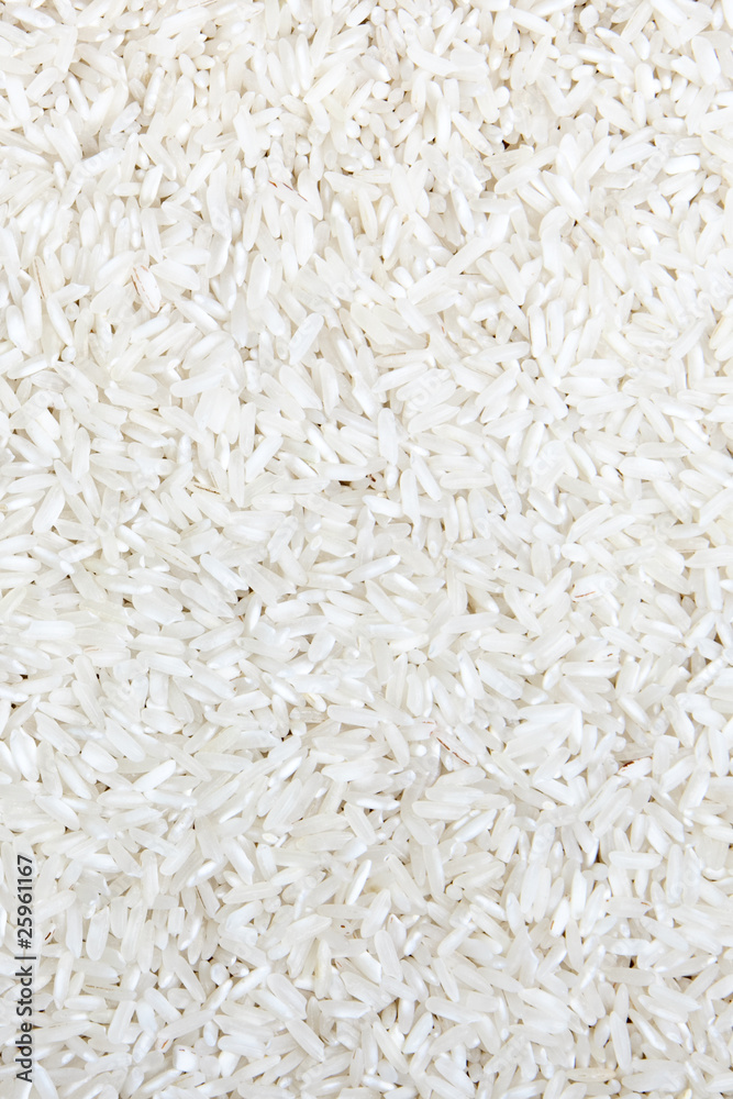 rice rice