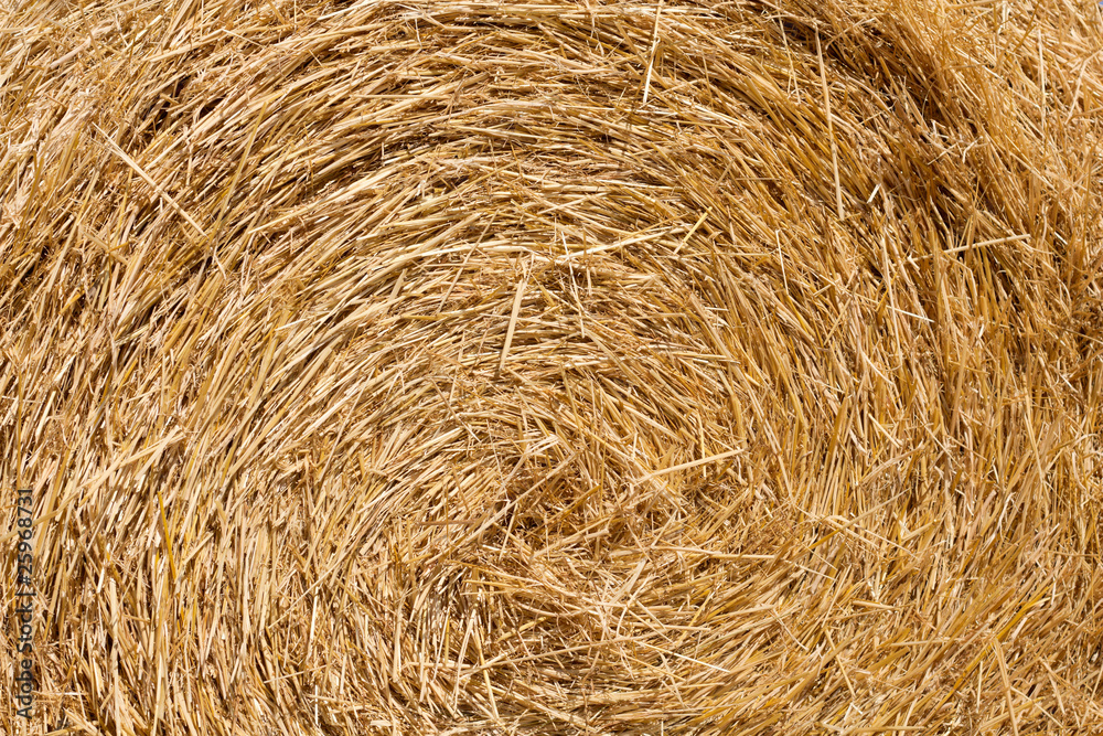 Wheat Haystacks after the harvest. Summer. Wheat Haystacks after the harvest. Summer.