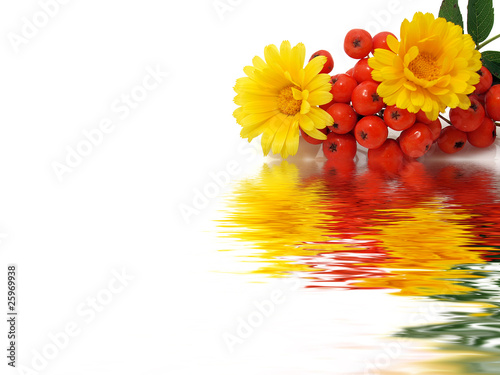 Canvas-taulu Yellow flowers and ash-berry