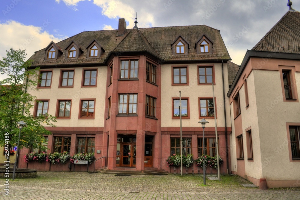 Naklejka premium Community Center in Germany (Rathaus)