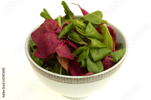 Bowl of Bistro Salad photo