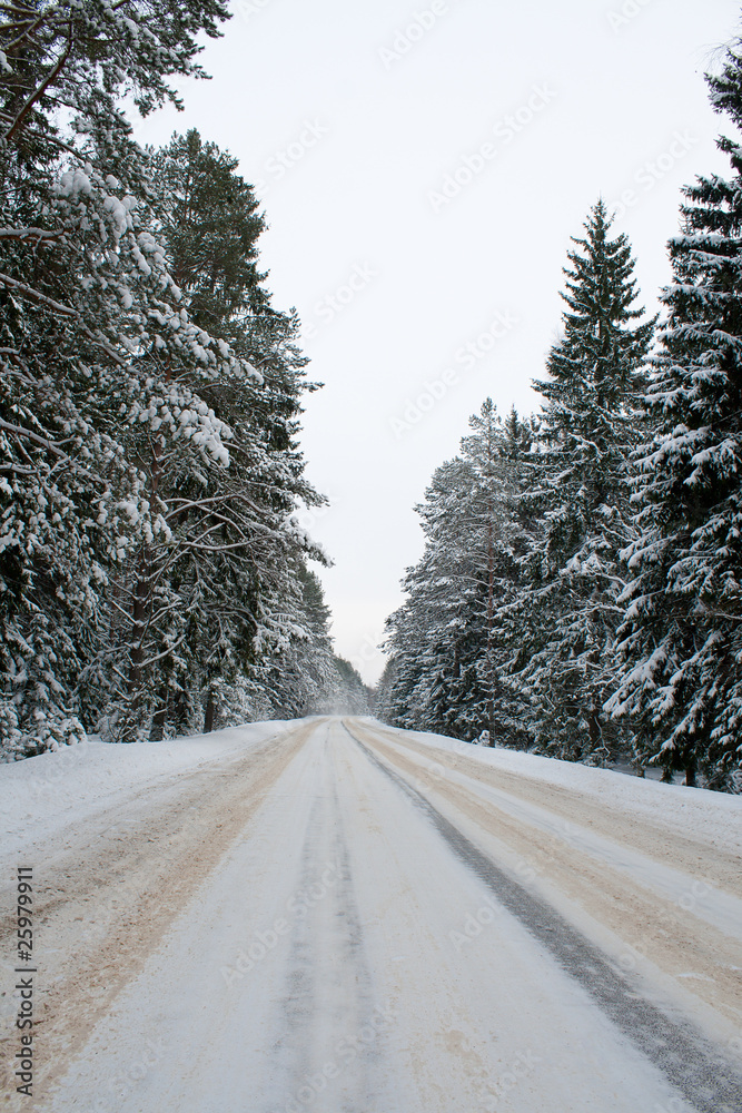 Fototapeta premium country road in snow