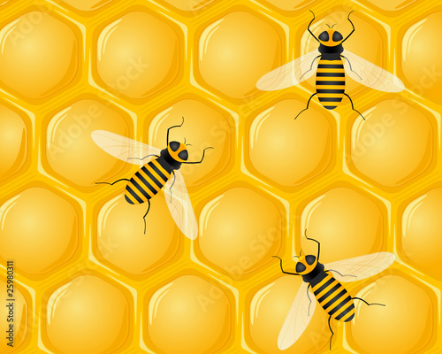 bees and honeycombs